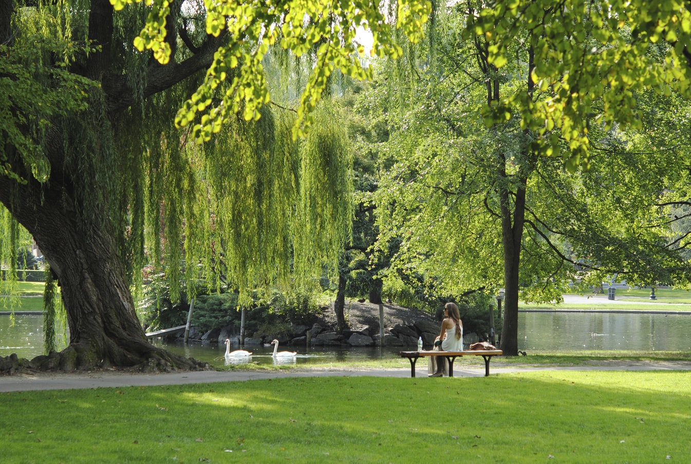 Une femme assise dans un parc à Boston, aux Etats Unis