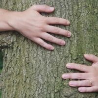 Une personne enlaçant un arbre