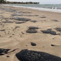 Des galettes de pétrole sur l'une des plages touchées par la pollution au Brésil