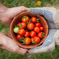 Deux personnes tenant un bol de tomates dans les mains.