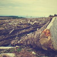 Carrefour Déforestation France Amérique latine