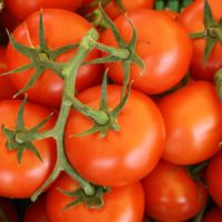 Des tomates fraîches.